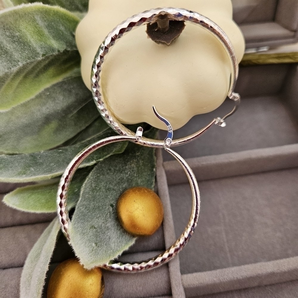 Elegant Silver Hoop Earrings